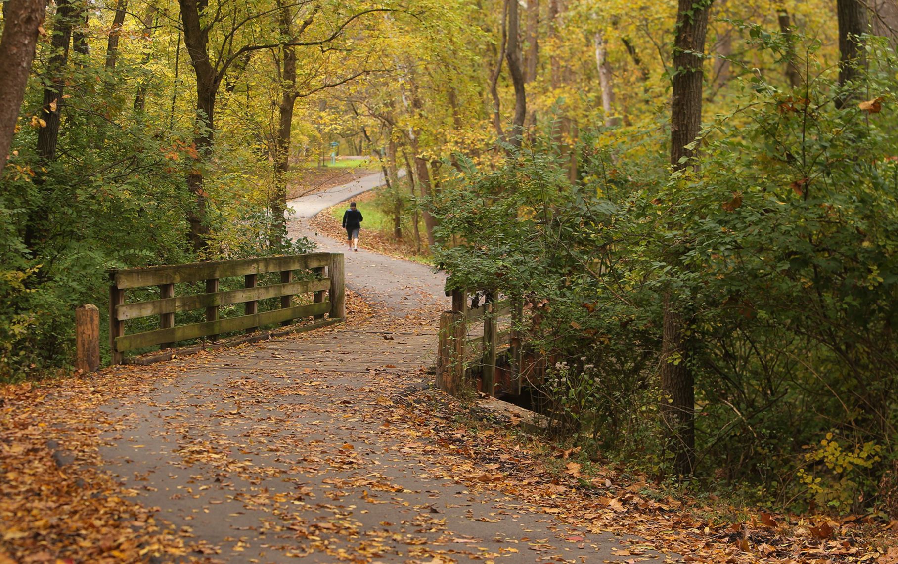 Fall Arrives in the St. Louis region